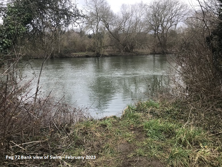 SWIM BANK VIEW